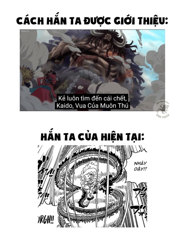One Piece: How did Kaido from the strongest creature in the world become a jump rope for Luffy?  - Photo 1.