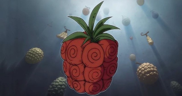 One Piece: Hình dạng thú vị của 25 trái ác quỷ được tiết lộ cho đến nay - Ảnh 2.