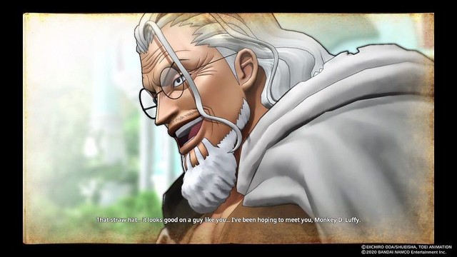 One Piece: Top 10 nhân vật con người già nhất, số 1 còn gần gấp đôi Garp hay Rayleigh - Ảnh 4.