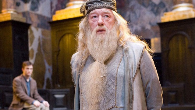 6 nhân vật tiếng tăm ở trường Hogwarts được fan Harry Potter yêu thích và nhớ lâu - Ảnh 4.