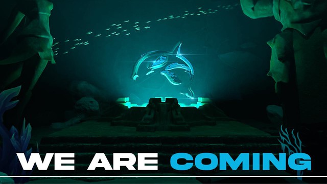 Team Whales thông báo sẽ góp mặt tại VCS, đặt quyết tâm gặt hái danh hiệu - Ảnh 5.