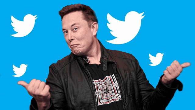 Elon Musk mua lại Twitter, trang cá nhân của hàng loạt các hot girl xinh đẹp được mở khóa, cộng đồng mang lên tiếng cám ơn rối rít - Ảnh 1.
