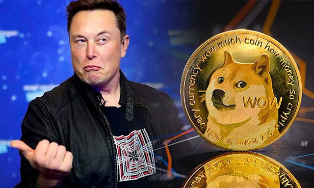 Elon Musk bị kiện tại Mỹ vì liên quan đến Dogecoin - Ảnh 1.
