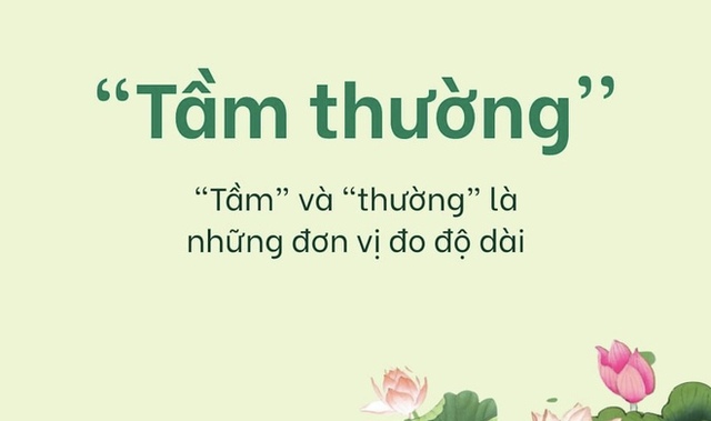  Câu đố Tiếng Việt: Vì sao lại nói là TẦM THƯỜNG - Ảnh 1.