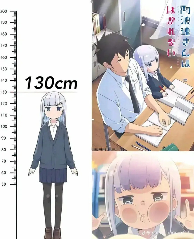 So sánh chiều cao của các nàng waifu được nhiều người yêu thích trong anime - Ảnh 2.