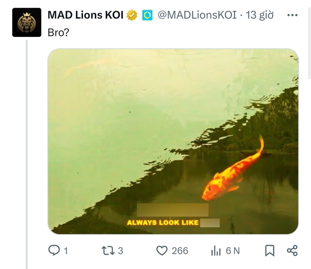 MAD Lions kiểu: "Thật luôn hả người anh em?"