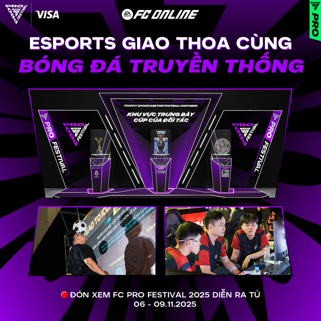 Việt Nam chính thức đăng cai FC Pro Festival 2025 với sự góp mặt của cặp sao huyền thoại thế giới- Ảnh 2.