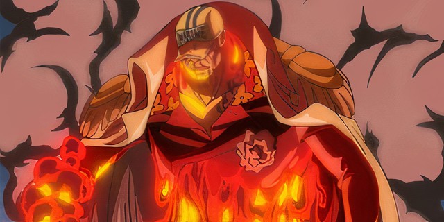 One Piece: Vai trò 