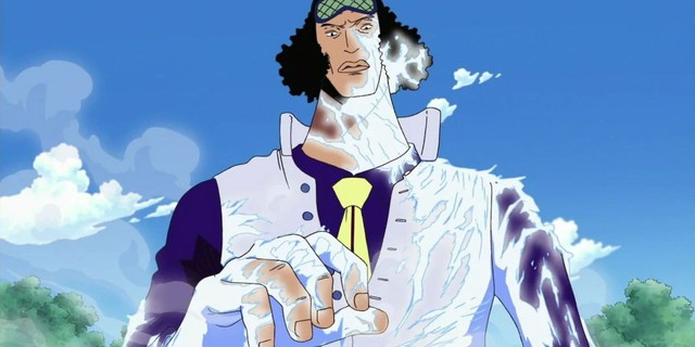 One Piece: Vai trò 