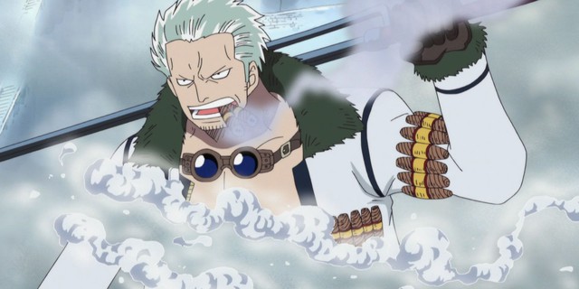 One Piece: Vai trò 