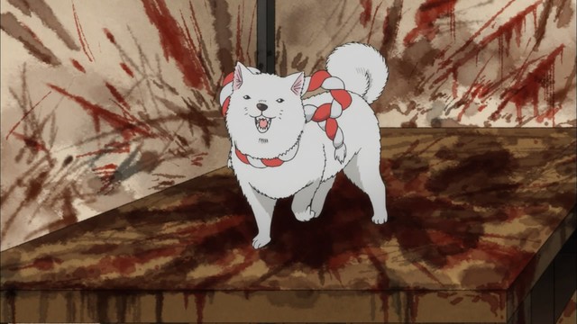 Mấy cún con trong anime không những giỏi lại còn rất dễ thương