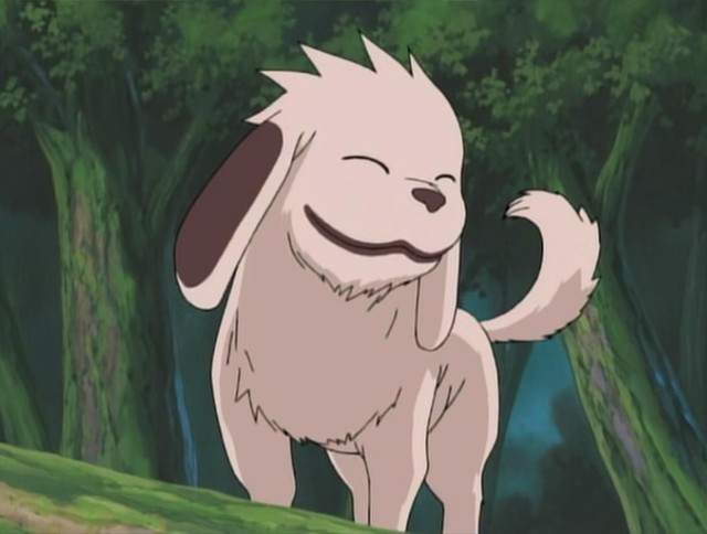 Mấy cún con trong anime không những giỏi lại còn rất dễ thương