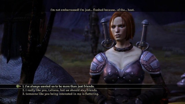 Dragon Age Origin: Gieo nhân nào, gặt quả nấy - Ảnh 3. Dragon Age Origin: Gieo nhân nào, gặt quả nấy - Ảnh 3.