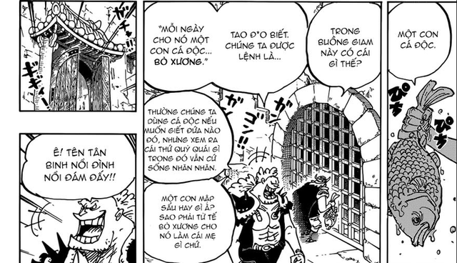 One Piece : Cao nhân nào sẽ giúp Luffy đánh thức được Trái Ác Quỷ và đạt được sức mạnh mới? - Ảnh 2.