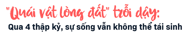 Bí mật chết chóc tại Rừng Tử thần ở Nga, nơi đoạt mạng người dễ như chơi - Ảnh 2.