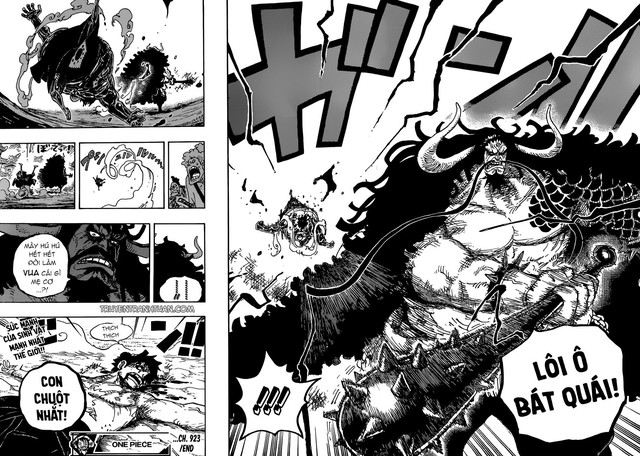 One Piece 923: Kaido hạ gục Luffy - Trò chơi kết thúc? - Ảnh 6.