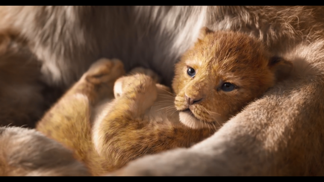 Phiên bản live-action của Lion King tung trailer cực chất cùng dàn diễn viên hoành tráng - Ảnh 2.