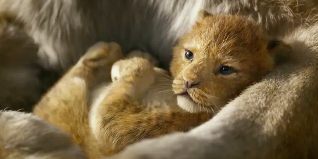 Phấn khích với Trailer mới nhất của Lion King nhưng đây mới là điều khiến nhiều người tranh cãi về Vua Sư Tử - Ảnh 5.