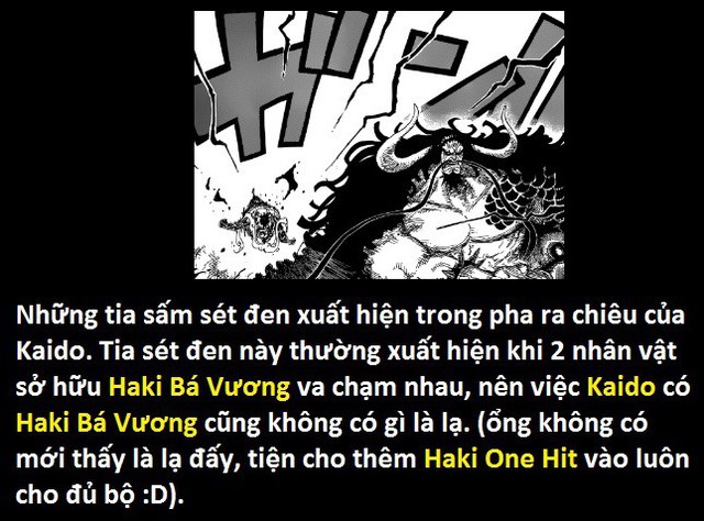 Tứ Hoàng Kaido sở hữu Haki Bá Vương! Thánh soi phát hiện lỗi của tác giả trong One Piece 923 - Ảnh 24.
