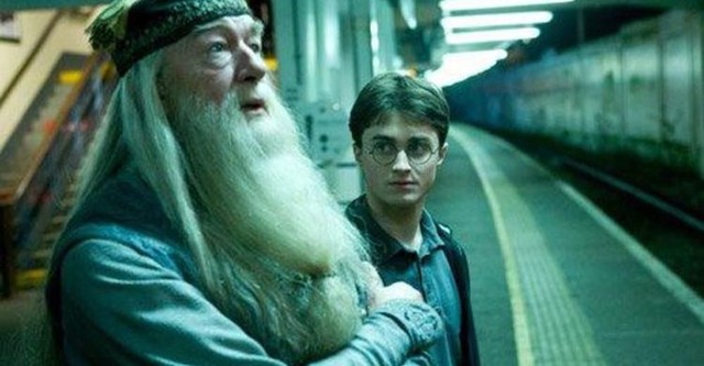 Fantastic Beast 2: Mối quan hệ của Dumbledore và Newt Scamander sẽ khác với Harry Potter như thế nào? - Ảnh 1.