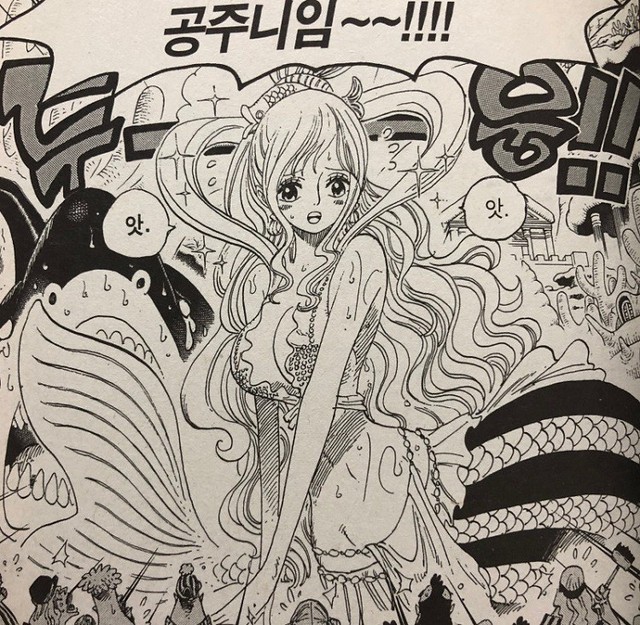 One Piece: Không phải Luffy, nhân vật làm khó Oda khi vẽ nhất hóa ra là hai đại mĩ nhân xinh đẹp này - Ảnh 4.