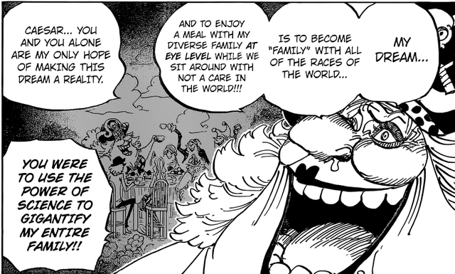 One Piece: Không như Big Mom, Kaido là một thí nghiệm ăn trái ác quỷ nhân tạo thành công của Chính Phủ thế giới? - Ảnh 3.