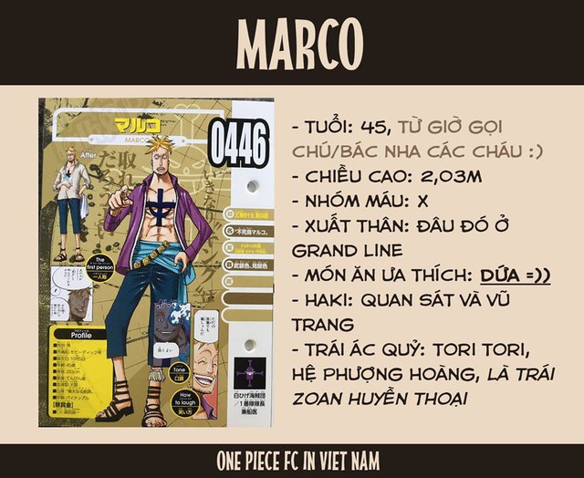 One Piece: Jinbe chính thức trở thành đồng đội của Luffy - Hé lộ thông tin thú vị về Ace và Râu Trắng - Ảnh 4.