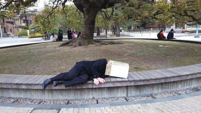 Chỉ có thể xuất hiện tại Nhật Bản: Thánh lầy ngủ ngay tại sân trường, nhờ người xung quanh đánh thức để đi thi