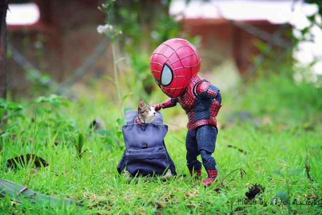 Hài hước cảnh Spider-Man đánh vật với thú cưng của mình