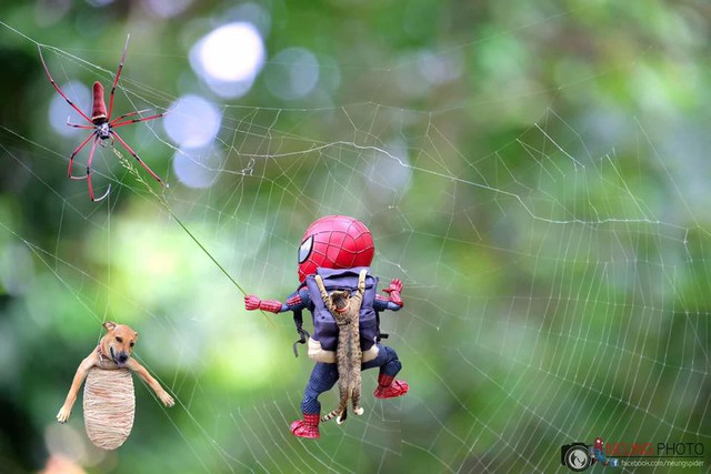 Hài hước cảnh Spider-Man đánh vật với thú cưng của mình