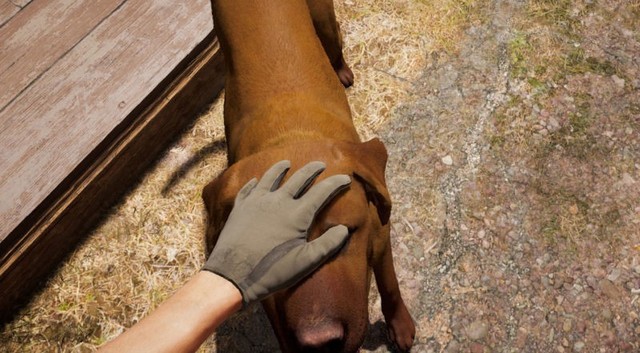 Chỉ bổ sung một tính năng nhỏ nhưng Far Cry 5 đã trở thành tựa game tuyệt vời nhất thế giới với hội yêu chó - Ảnh 6.