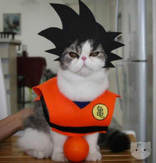  Cat Goku - Dragon Ball Z 