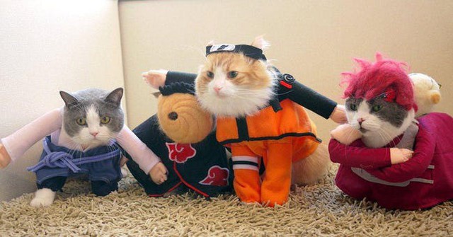  Cat Sasuke, Naruto, Tobi – Naruto 