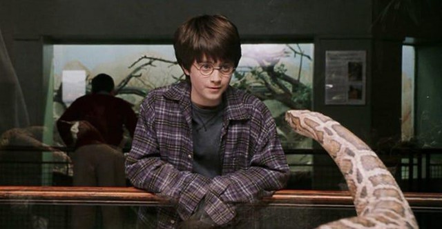 Tìm lại những điều vô nghĩa về bộ 3 nhân vật chính của Harry Potter (P.1) - Ảnh 2.