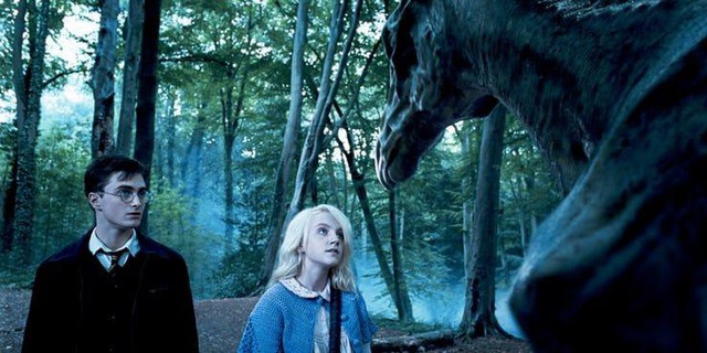 Tìm lại những điều vô nghĩa về bộ 3 nhân vật chính của Harry Potter (P.2) - Ảnh 6.
