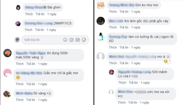 Nhờ ơn đội tuyển Pháp, 500 anh em Nữ Vương Nổi Loạn ăn quả troll nhớ đời: Tưởng được húp “code 5 triệu” ai ngờ… - Ảnh 5.