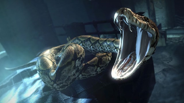 Giả thuyết: Con rắn của Voldemort sẽ có một vai trò quan trọng trong Fantastic Beasts 2? - Ảnh 1.