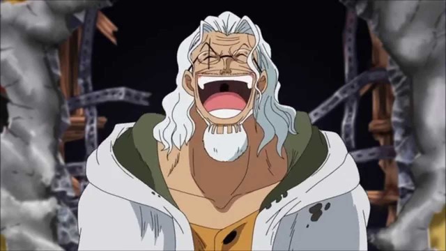 One Piece: Cần gì ăn trái Ác Quỷ, 10 nhân vật này cũng siêu mạnh nhờ vào bản lĩnh của mình đấy thôi - Ảnh 7.