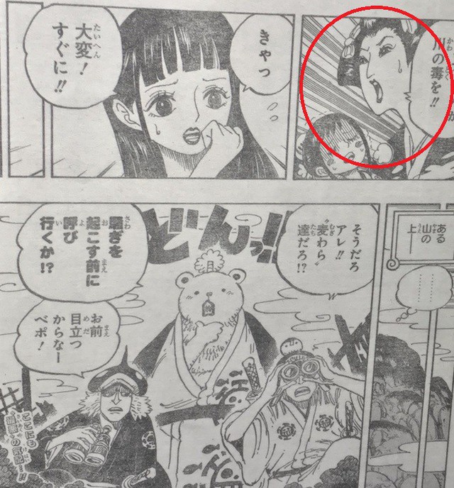 Góc soi mói: Có thể bạn chưa biết, tiêu đề One Piece 913 bắt nguồn từ một câu chuyện cổ tích Nhật Bản đấy - Ảnh 6.