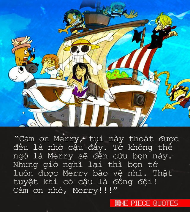 One Piece: 10 câu nói đầy cảm hứng của “Tân vương hải tặc tương lai” sẽ truyền cảm hứng sống cho bạn đấy! - Ảnh 4.