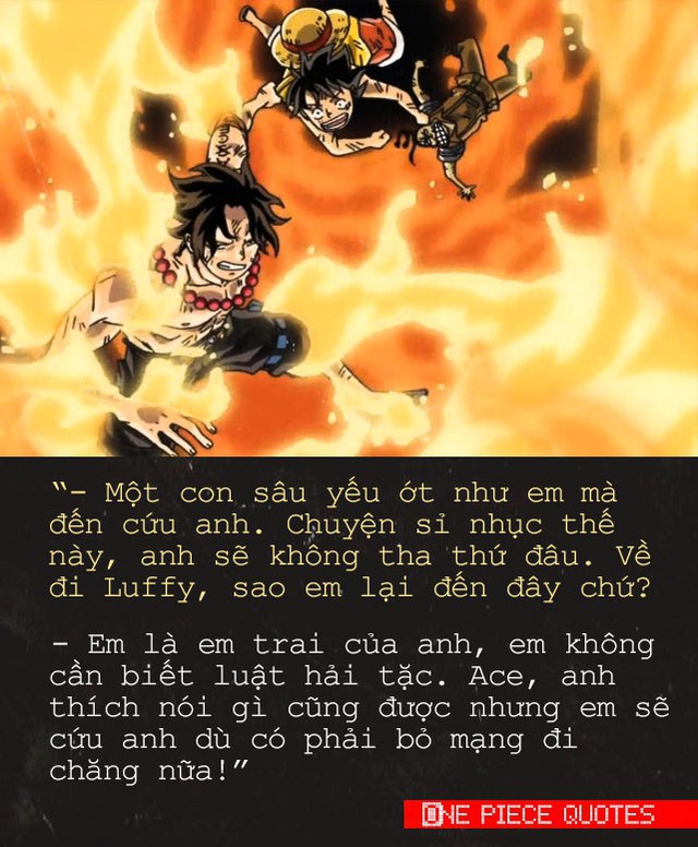 One Piece: 10 câu nói đầy cảm hứng của “Tân vương hải tặc tương lai” sẽ truyền cảm hứng sống cho bạn đấy! - Ảnh 8.