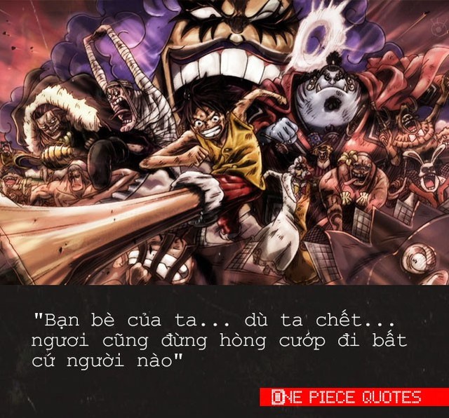 One Piece: 10 câu nói đầy cảm hứng của “Tân vương hải tặc tương lai” sẽ truyền cảm hứng sống cho bạn đấy! - Ảnh 9.