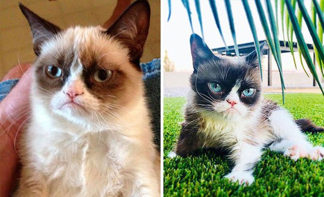 Những huyền thoại meme từng khuynh đảo Internet ngày ấy - bây giờ ra sao? - Ảnh 10. Những huyền thoại meme từng khuynh đảo Internet ngày ấy - bây giờ ra sao? - Ảnh 10.