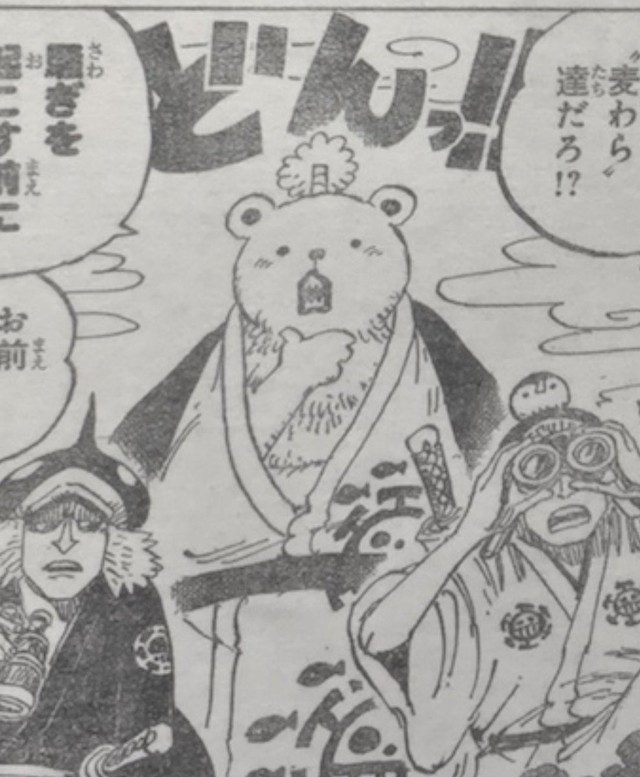 6 sự thật thú vị về Bepo, chú gấu hải tặc đáng yêu có mức truy nã thấp nhất nhì trong One Piece - Ảnh 7.