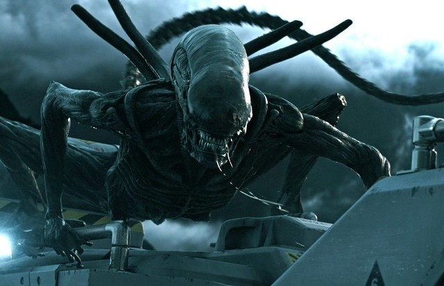 Predator và Alien, lịch sử đối đầu đẫm máu của 2 chủng tộc ngoài hành tinh được hâm mộ nhất trên màn ảnh - Ảnh 1.