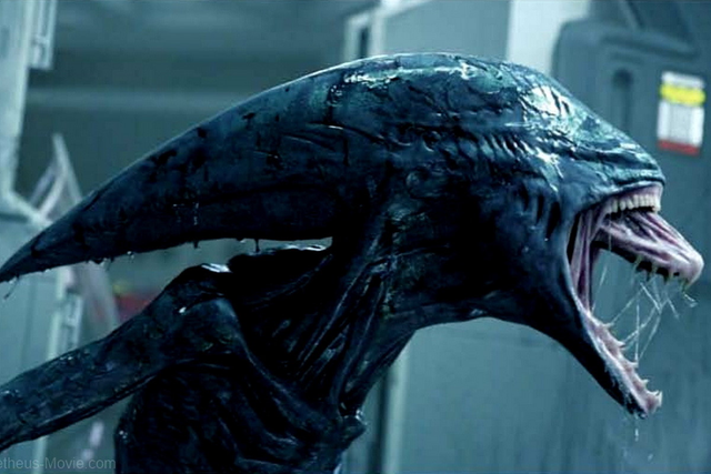 Predator và Alien, lịch sử đối đầu đẫm máu của 2 chủng tộc ngoài hành tinh được hâm mộ nhất trên màn ảnh - Ảnh 9.