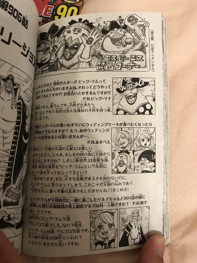 One Piece - Hỏi đáp cùng tác giả Oda: Bí mật về Tứ Hoàng BigMom được tiết lộ và sẽ thế nào nếu các Thất Vũ Hải Crocodile, Mihawk và Doflamingo có con? - Ảnh 3.