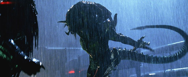 Predator và Alien, lịch sử đối đầu đẫm máu của 2 chủng tộc ngoài hành tinh được hâm mộ nhất trên màn ảnh - Ảnh 4.