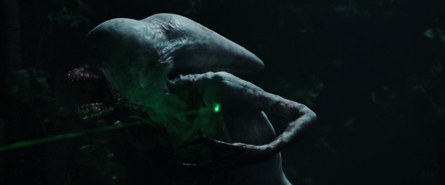 Predator và Alien, lịch sử đối đầu đẫm máu của 2 chủng tộc ngoài hành tinh được hâm mộ nhất trên màn ảnh - Ảnh 8.