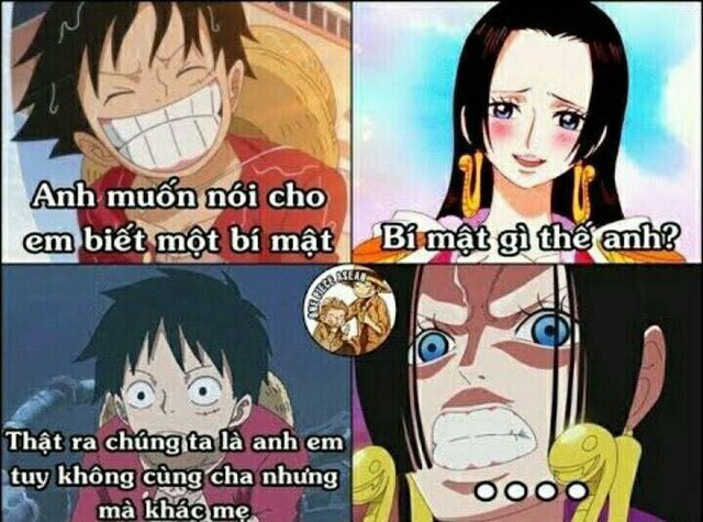 Cười bể bụng với loạt ảnh chế One Piece, thế mới thấy fan nhà ta sáng tạo vô cùng - Ảnh 7.